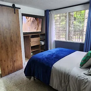  Apartamento Casa De Palmas 1